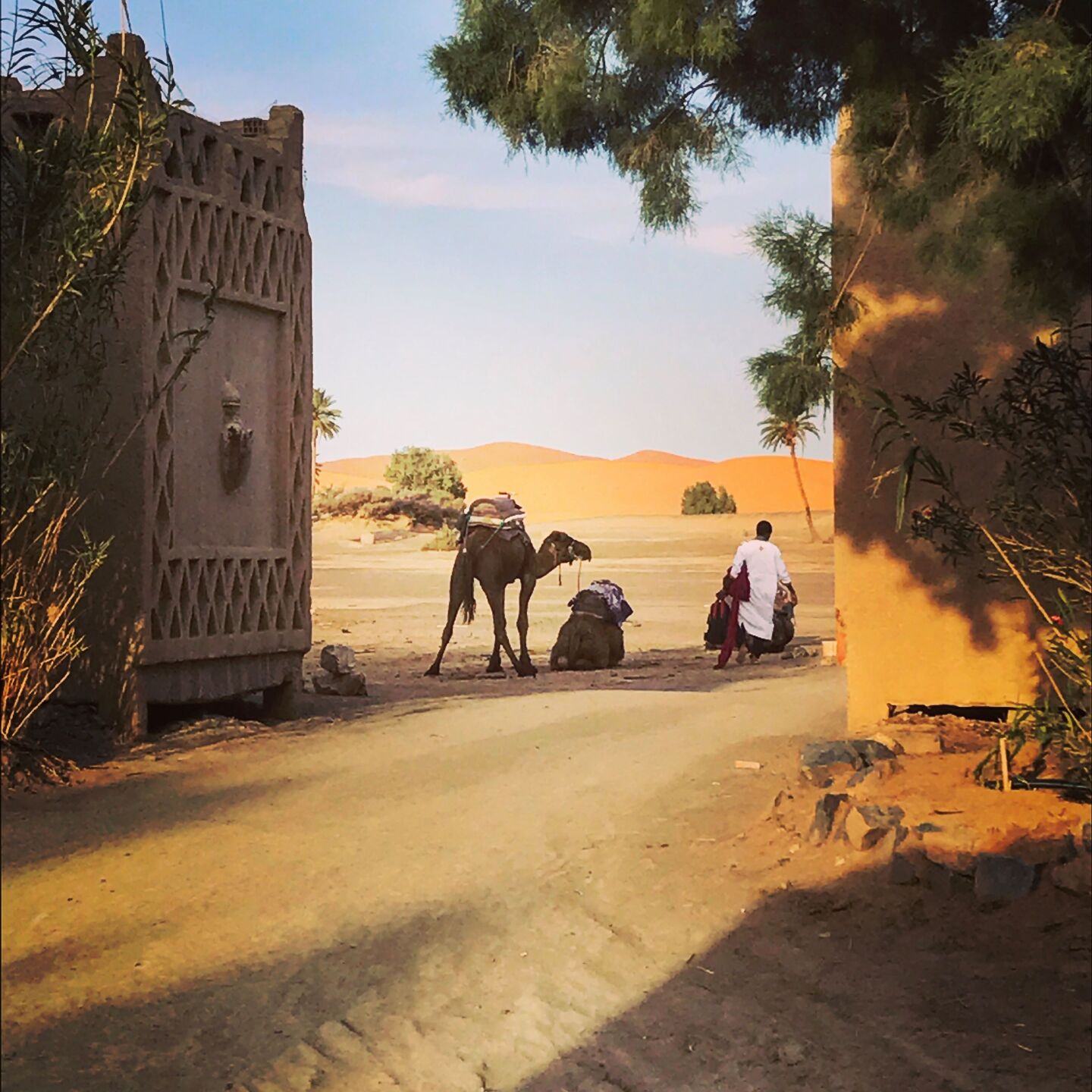 In the Moroccan Sahara